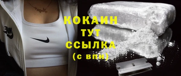крисы Богородск