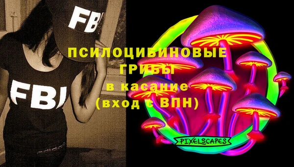 мдпв Богданович