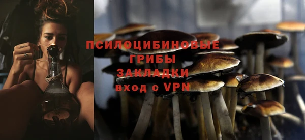 мдпв Богданович