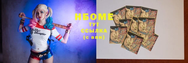 хмурый Богородицк