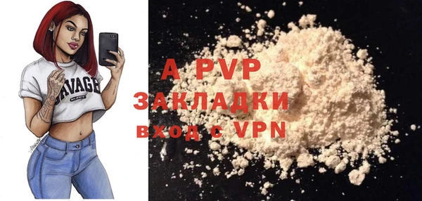 хмурый Богородицк